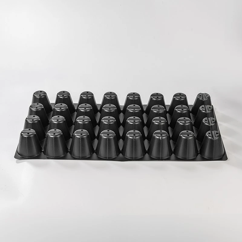 product-800-800 product-800-800